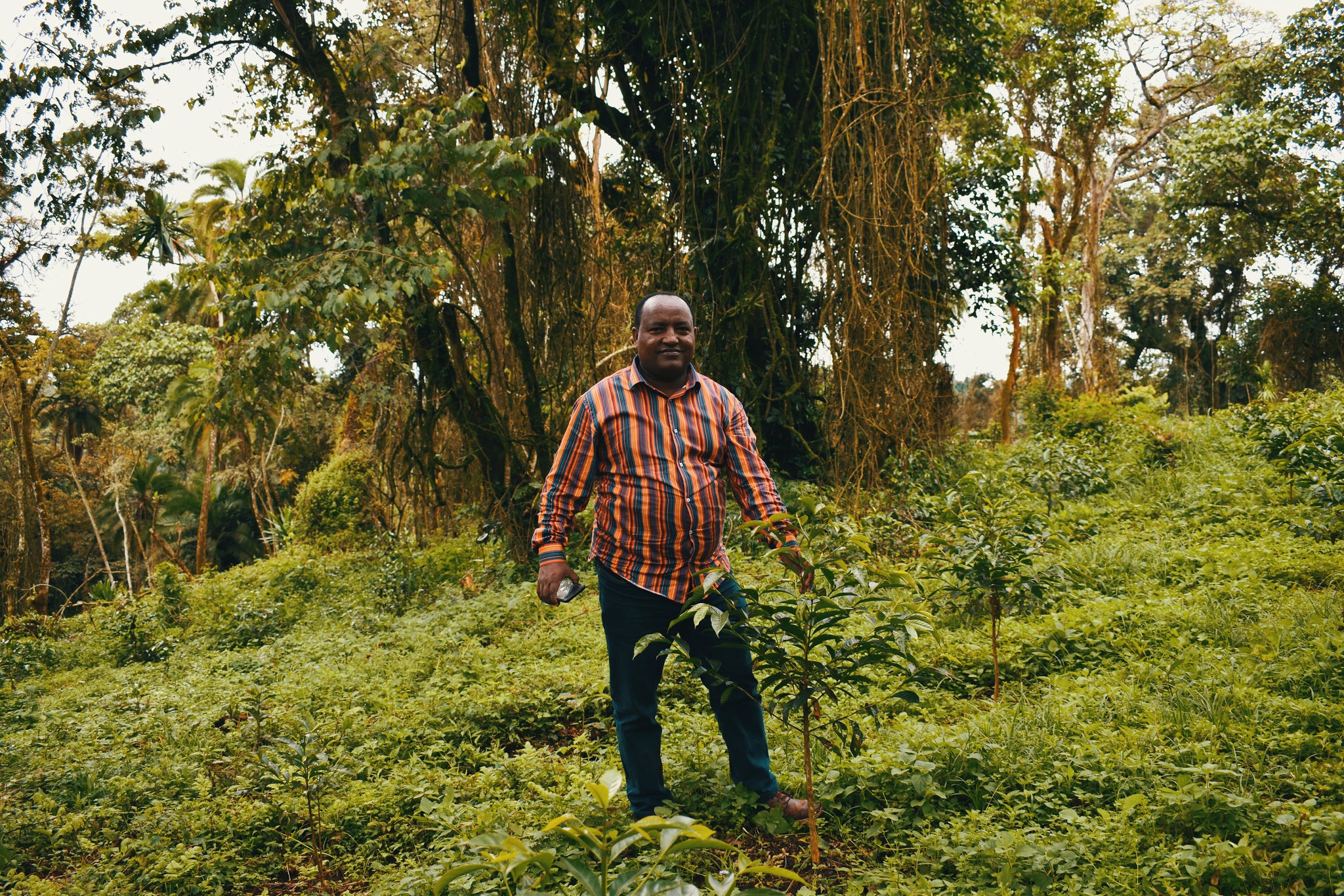 Ethiopia, Dinkalem Ademe, Natural