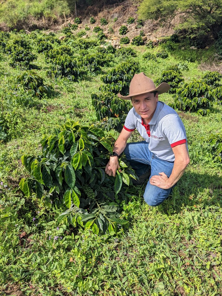 Ecuador, Juan Peña, Hacienda La Papaya, Typica Mejorado, Washed
