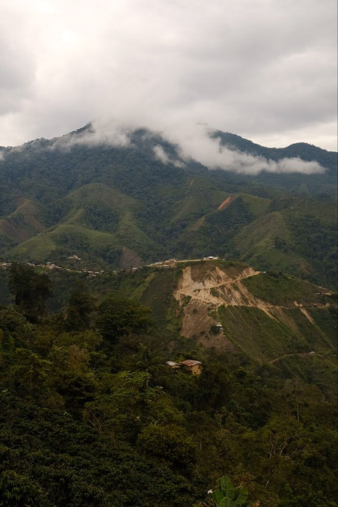 Peru, Finca Black, Washed