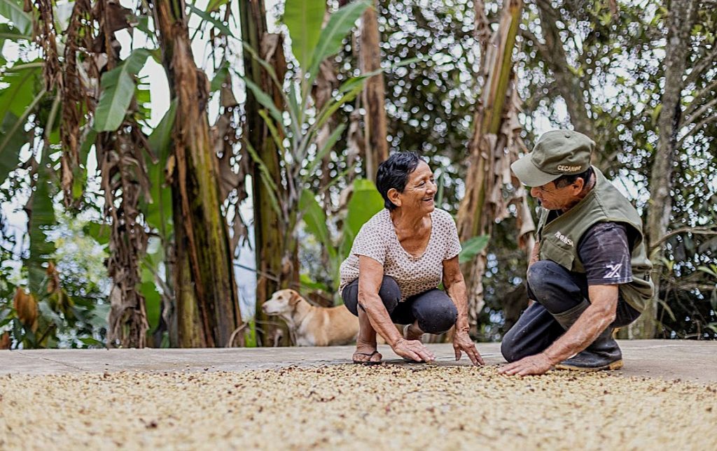 Decaf, Peru, Northeast Growers