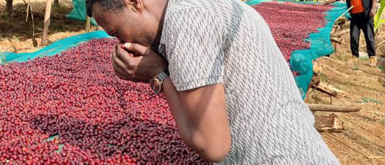 Ethiopia, Chelchele, Shitaye Abeba, Natural