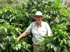 Costa Rica, Carlos Morera, Anaerobic Washed